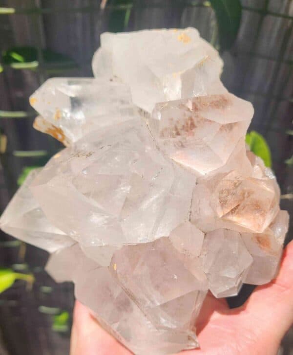 Clear Quartz Cluster