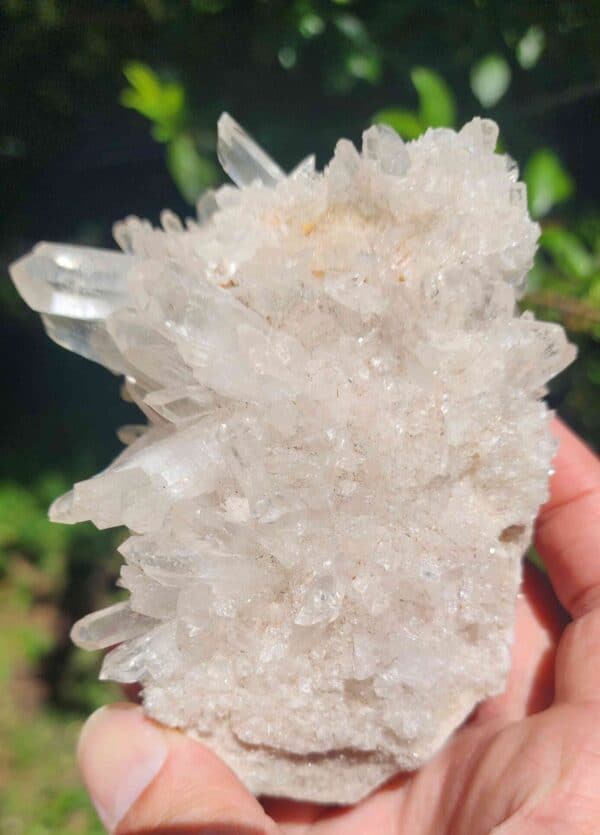 Clear Quartz Cluster