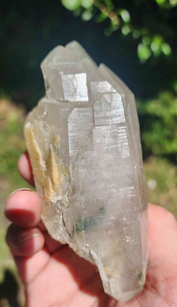Clear Quartz Crystal w' Chlorite