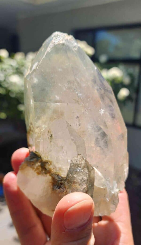 Clear Quartz Crystal w' Chlorite