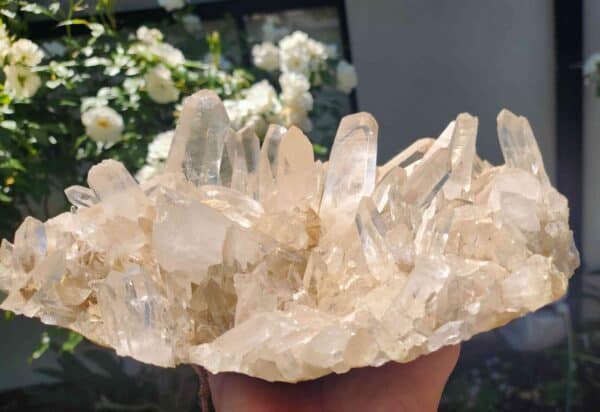 Clear Quartz Crystal Cluster
