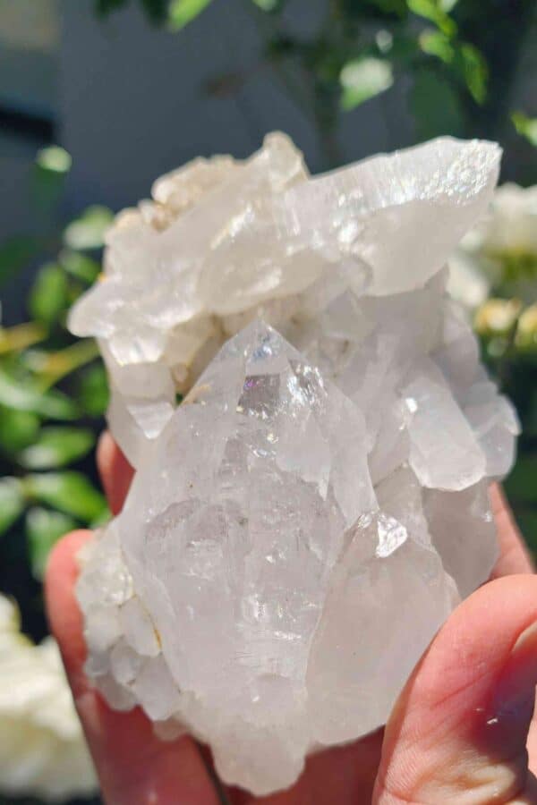 Clear Quartz Crystal Cluster