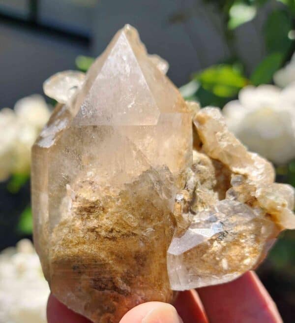 Clear Garden Quartz Crystal Raw