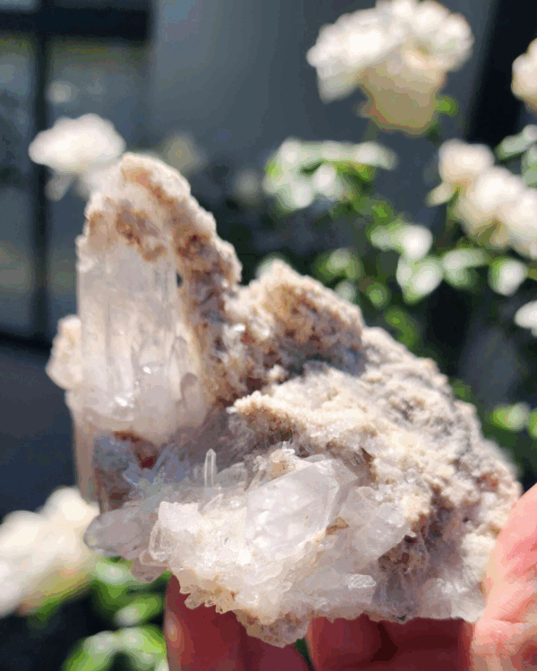 Clear Garden Quartz Crystal Raw