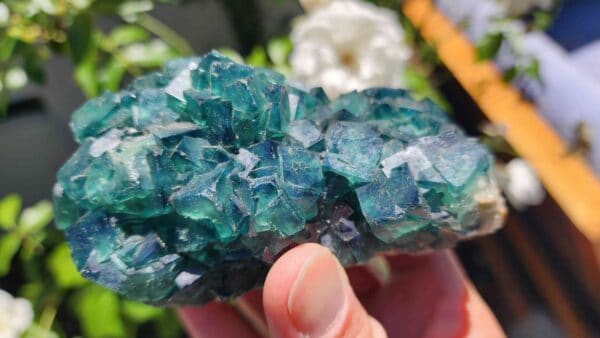 Raw Cubic Fluorite Crystal Cluster