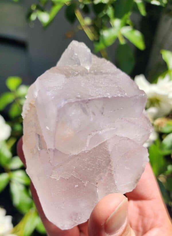 Raw Cubic Fluorite Crystal Cluster