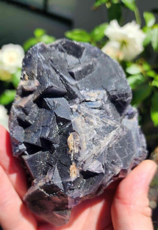 Blood Rose Raw Cubic Fluorite Crystal Cluster