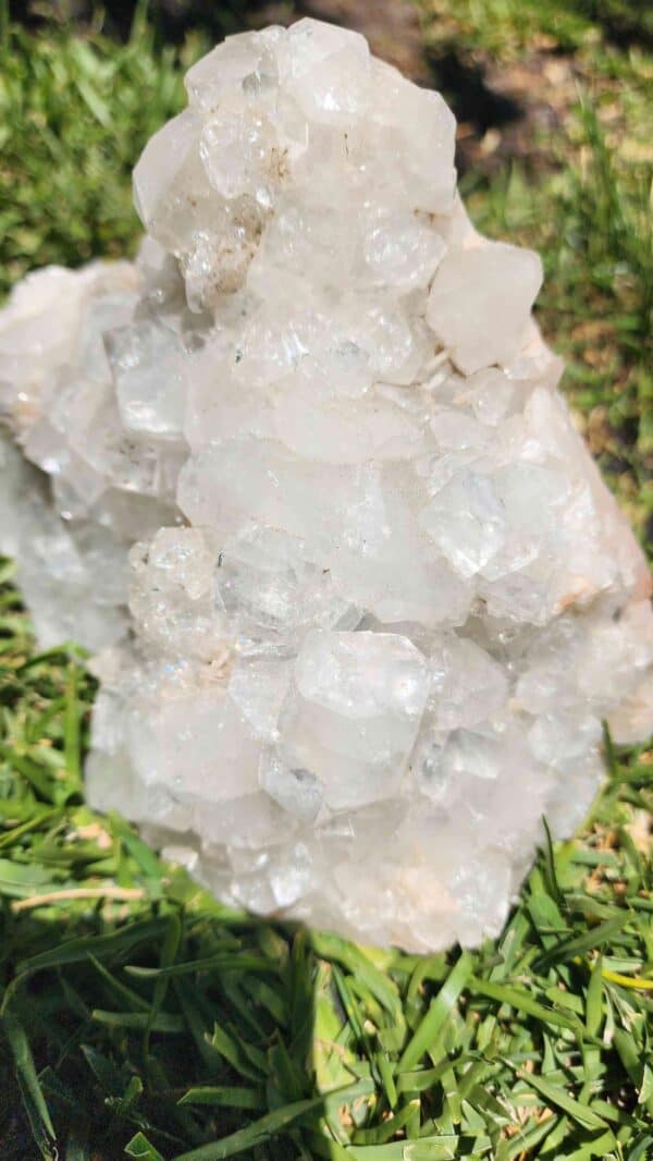 Apophyllite Crystal Cluster