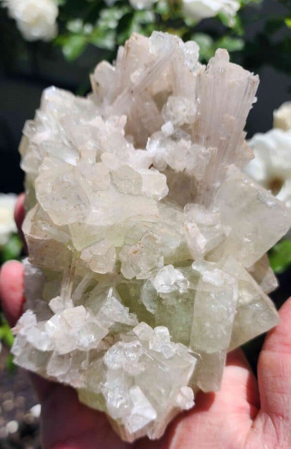 Apophyllite Crystal Cluster