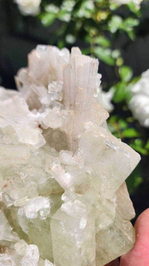 Apophyllite Crystal Cluster - Image 3