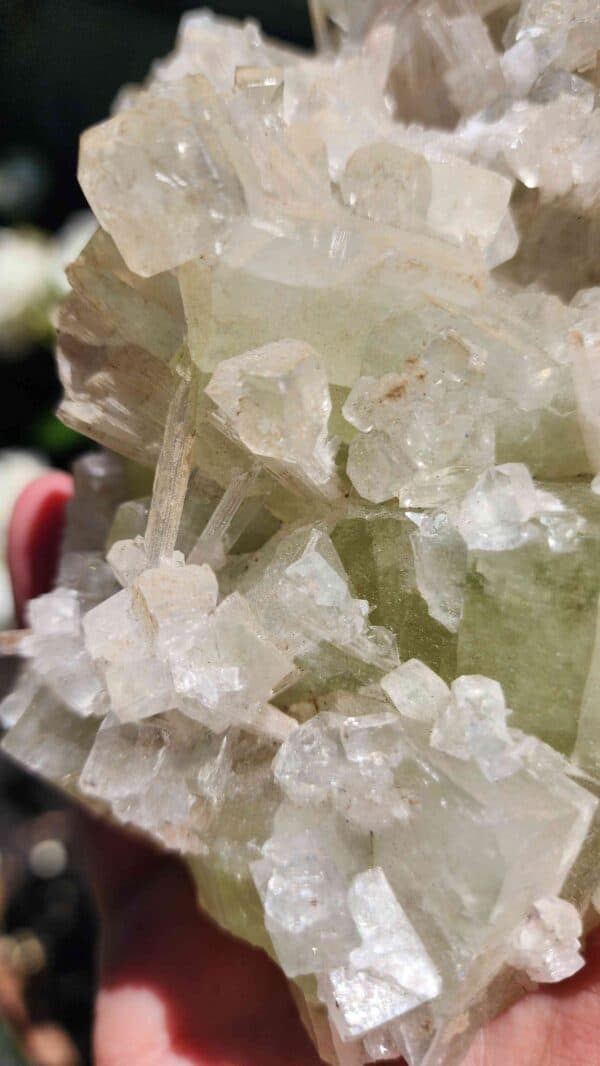 Apophyllite Crystal Cluster - Image 2