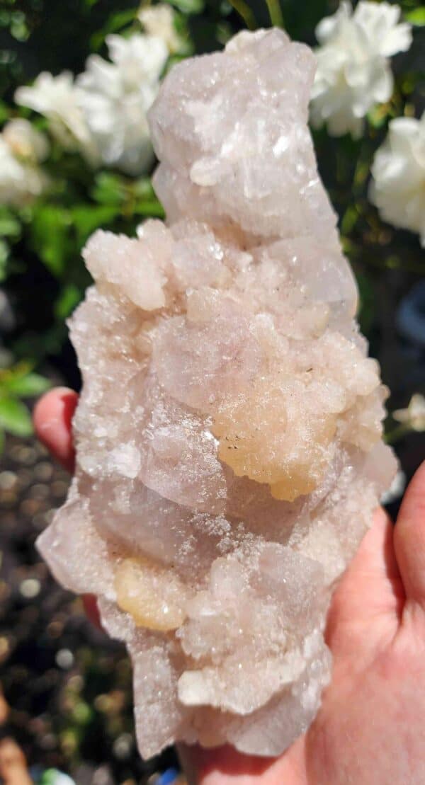 Apophyllite Crystal Cluster