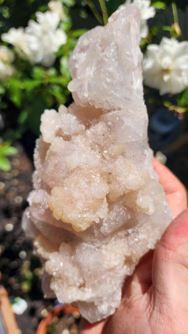 Apophyllite Crystal Cluster - Image 2