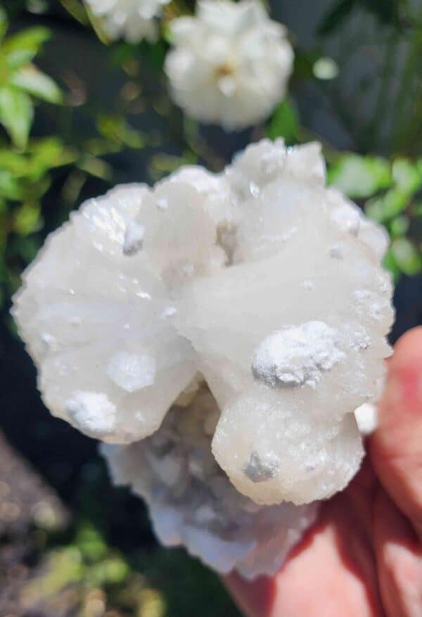 Apophyllite Crystal Cluster