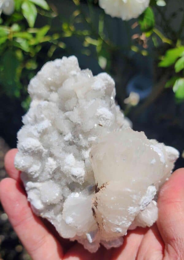Apophyllite Crystal Cluster - Image 3