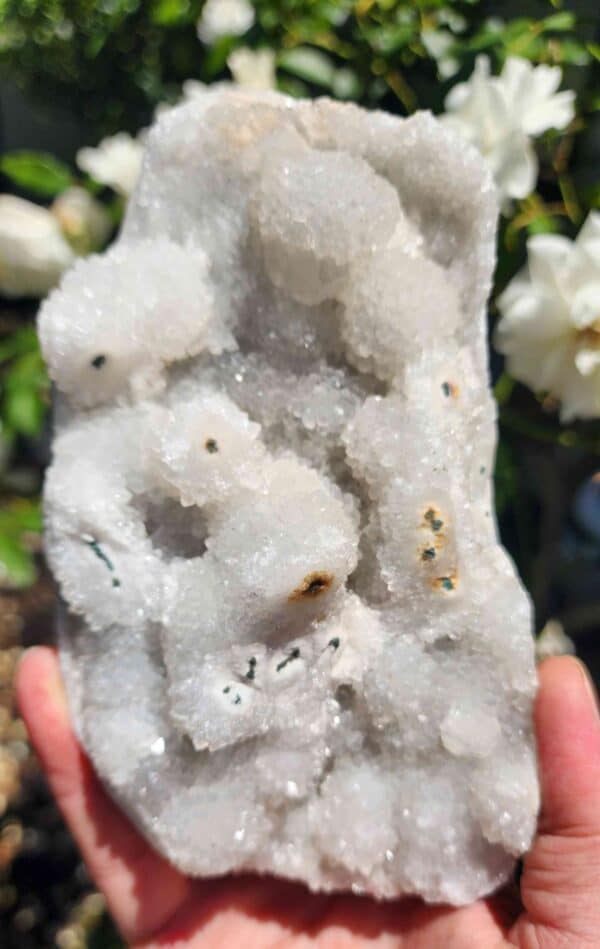 Apophyllite Crystal Cluster