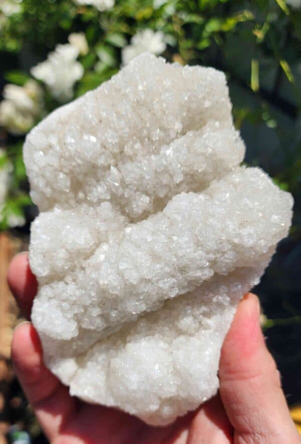 Apophyllite Crystal Cluster