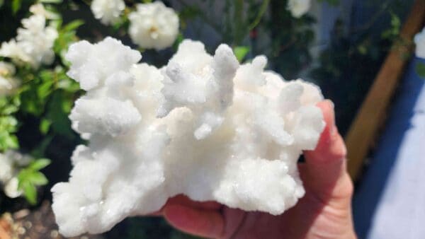 Rare White Aragonite Crystal Cluster - Image 3