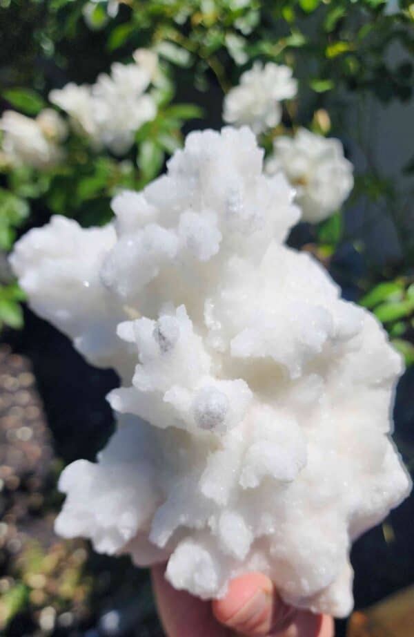 Rare White Aragonite Crystal Cluster - Image 2
