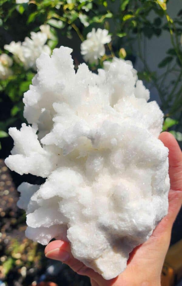 Rare White Aragonite Crystal Cluster