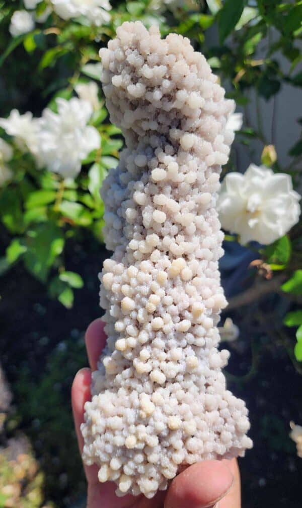 Natural Calcite Stalactite Crystal Specimen