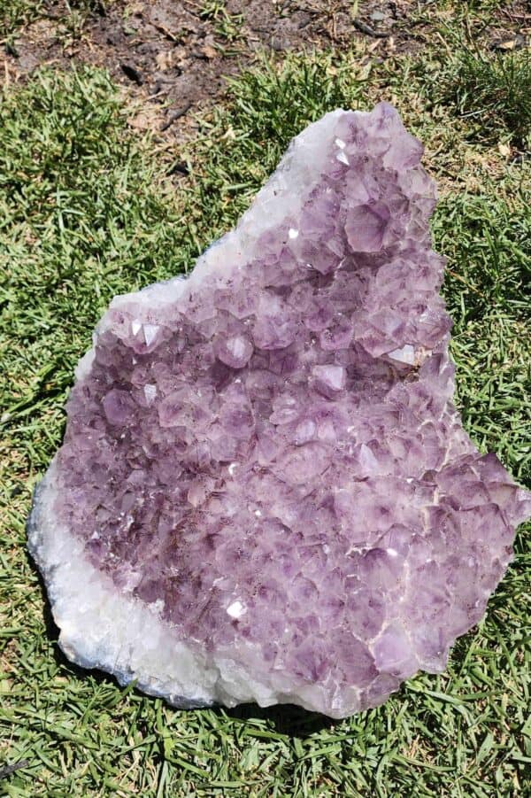 Brazilian Amethyst Crystal Cluster