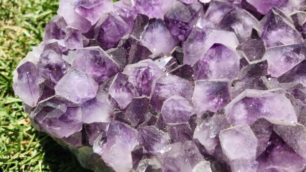 Brazilian Amethyst Crystal Cluster - Image 2