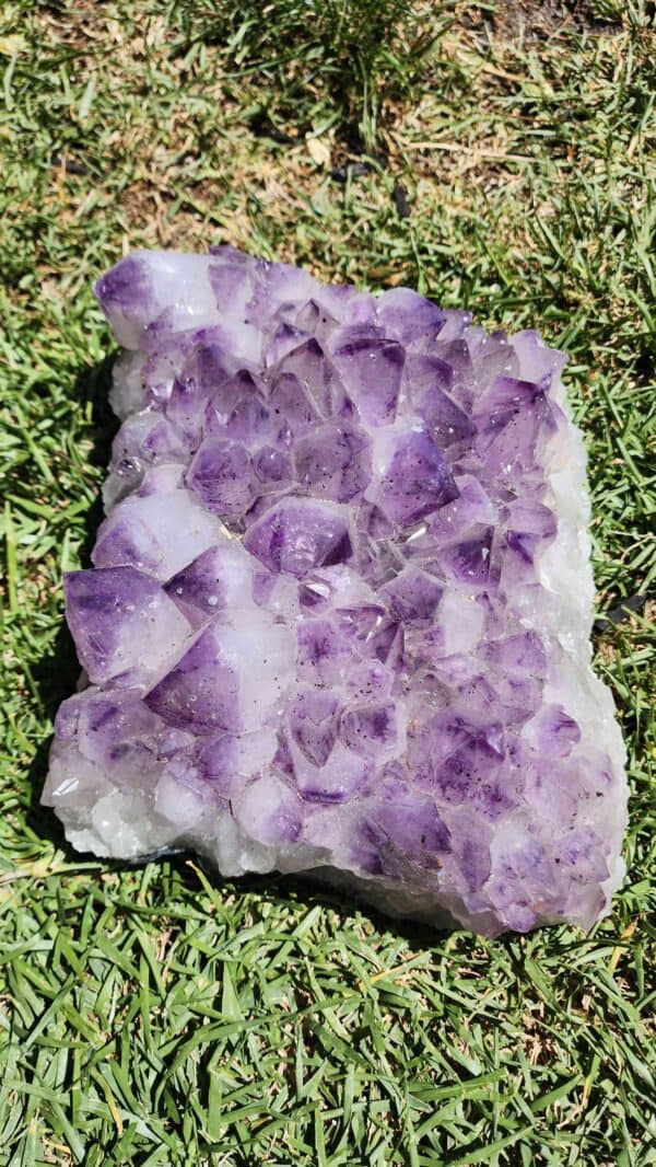 Brazilian Amethyst Crystal Cluster
