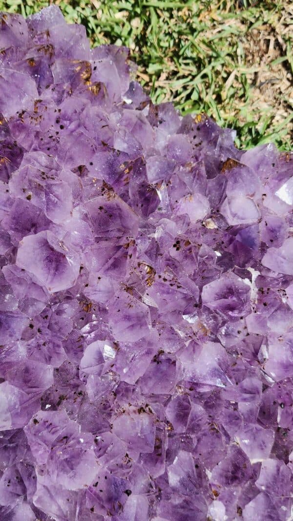 Brazilian Amethyst Crystal Cluster - Image 3
