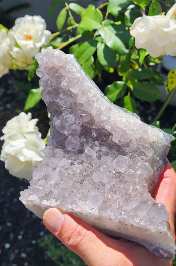 Brazilian Amethyst Crystal Cluster - Image 2