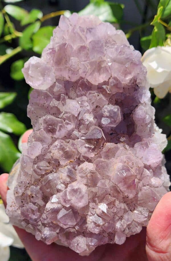 Brazilian Amethyst Crystal Cluster