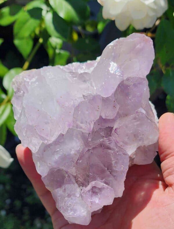 Brazilian Amethyst Crystal Cluster