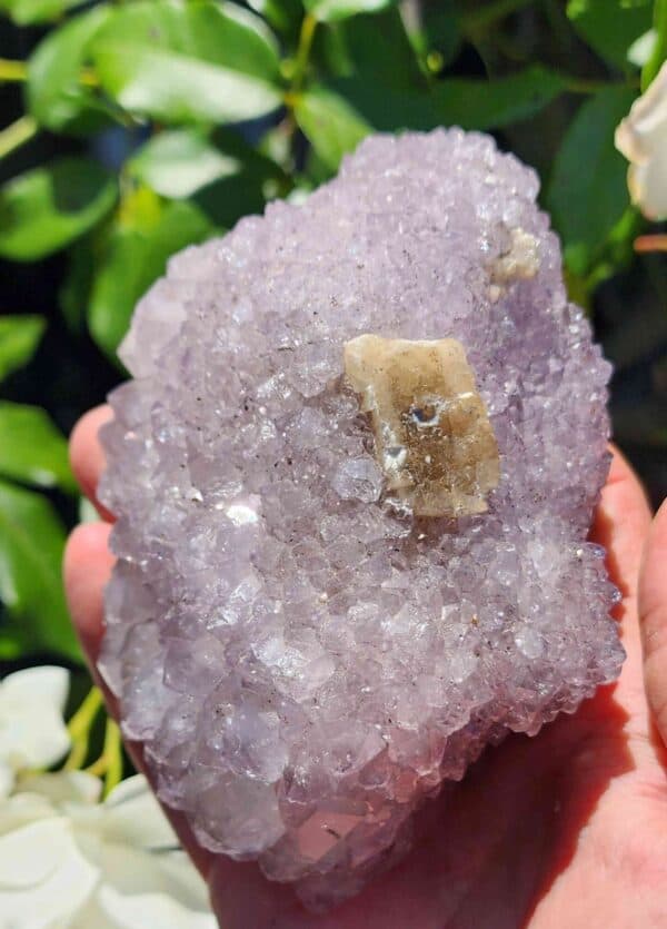 Brazilian Amethyst Crystal Cluster
