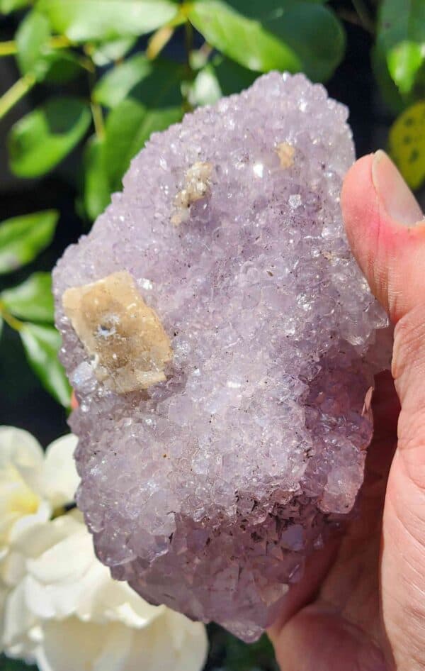 Brazilian Amethyst Crystal Cluster - Image 2