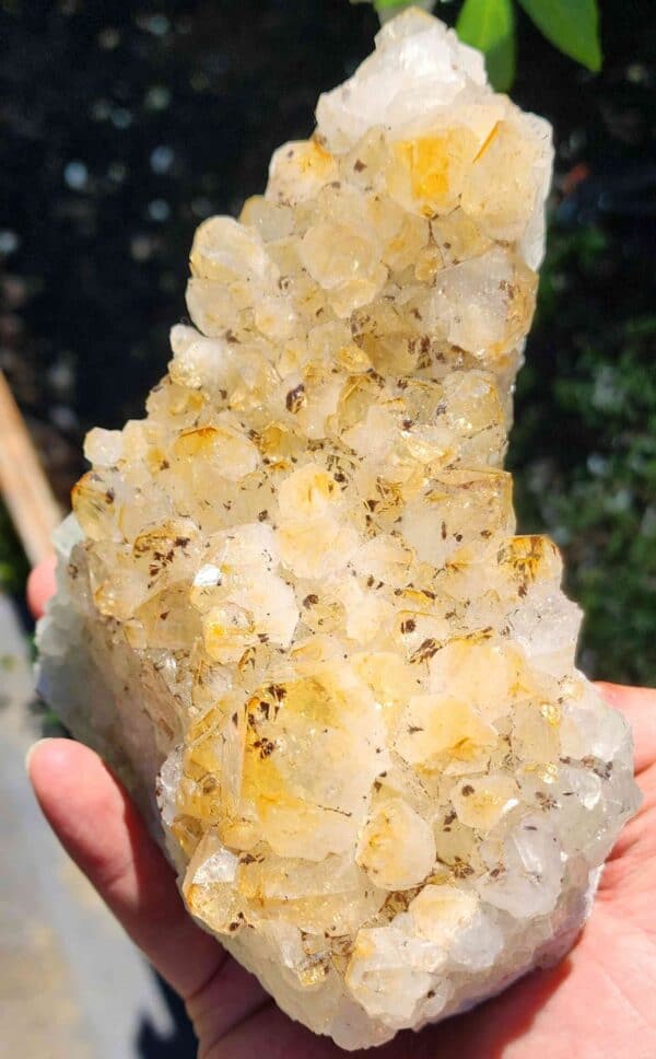 Brazilian Citrine Crystal Cluster