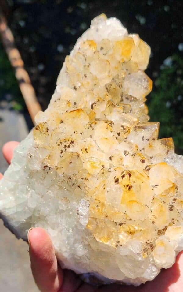 Brazilian Citrine Crystal Cluster - Image 2