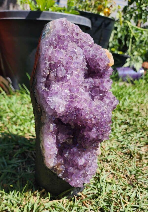 Brazilian Amethyst Crystal Cluster - Image 2