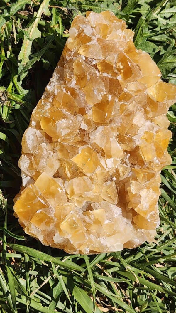 Natural Raw Honey Calcite Crystal Cluster