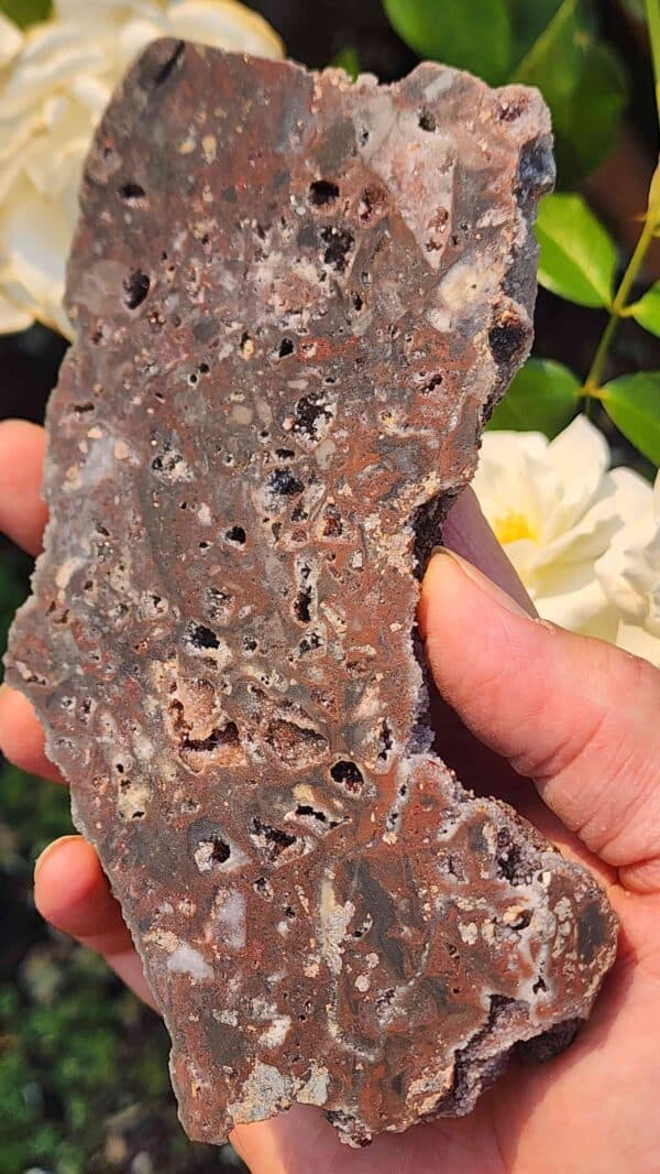 Natural Sphalerite and Garnet Crystal Slab