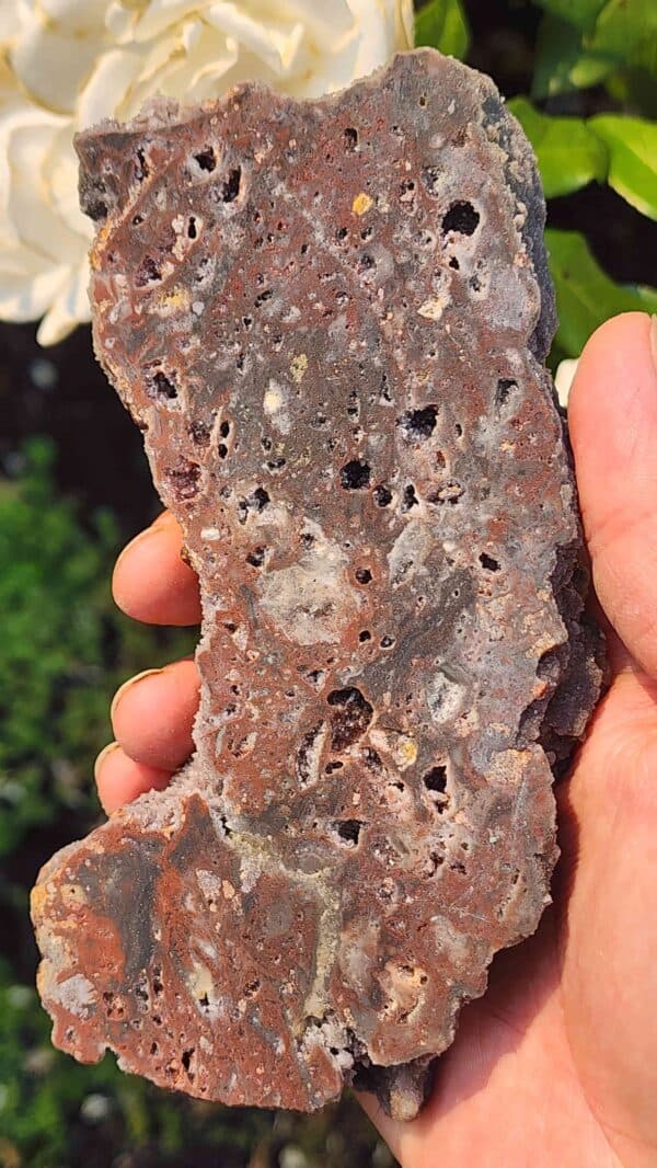 Natural Sphalerite and Garnet Crystal Slab - Image 2