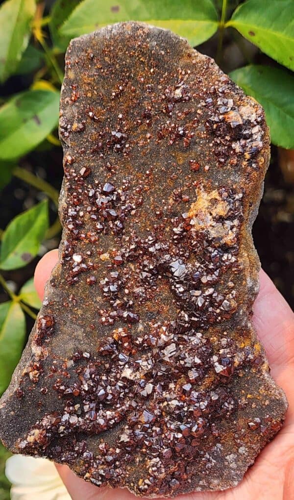 Garnet Crystal Cluster