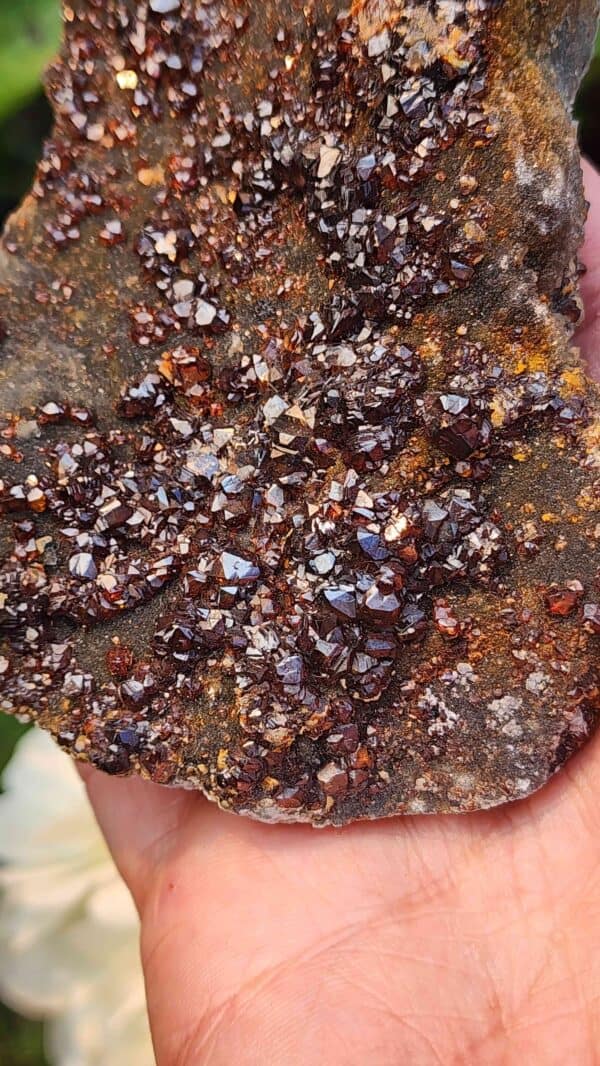 Garnet Crystal Cluster - Image 2