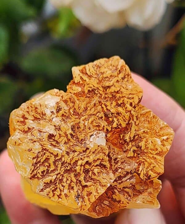 Orange Aragonite Crystal - Image 2