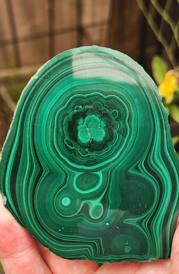 Polished Malachite