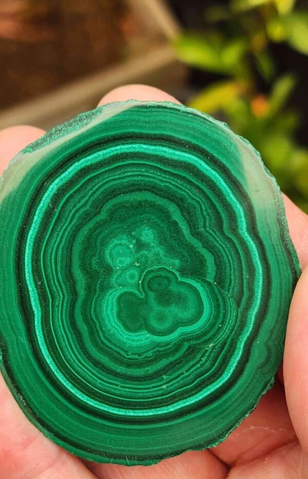 Polished Malachite
