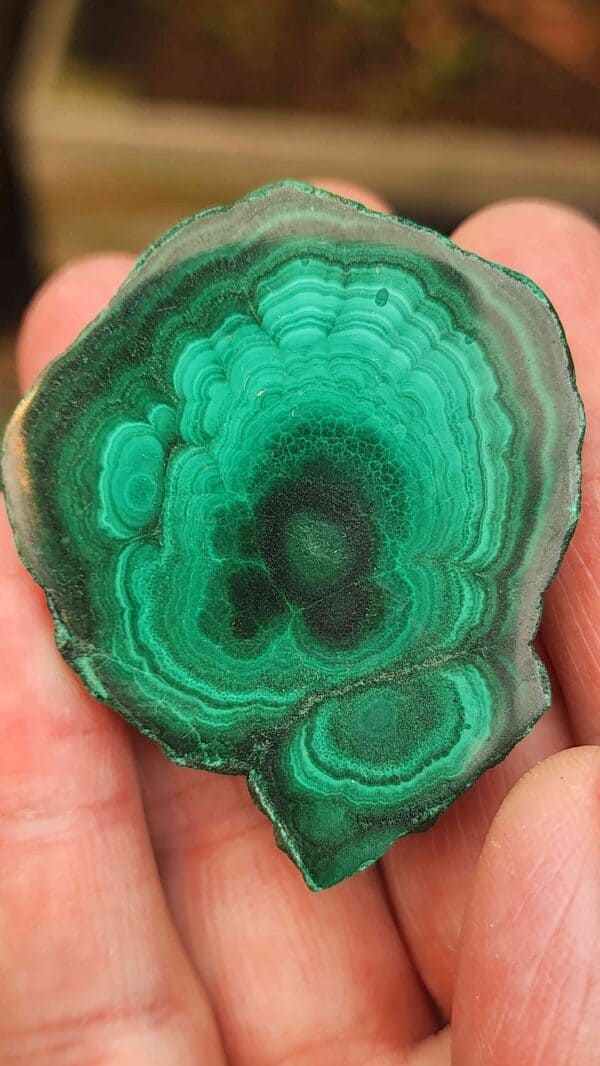 Polished Malachite
