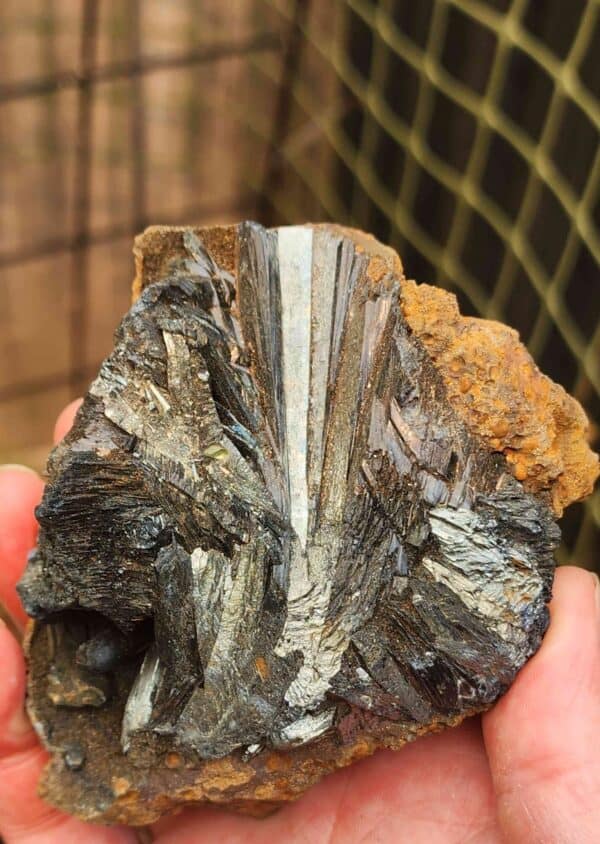 Natural Raw Vivianite Crystal