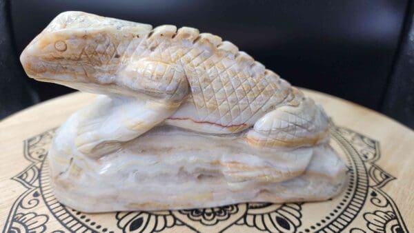 Crazy Lace Agate Lizard