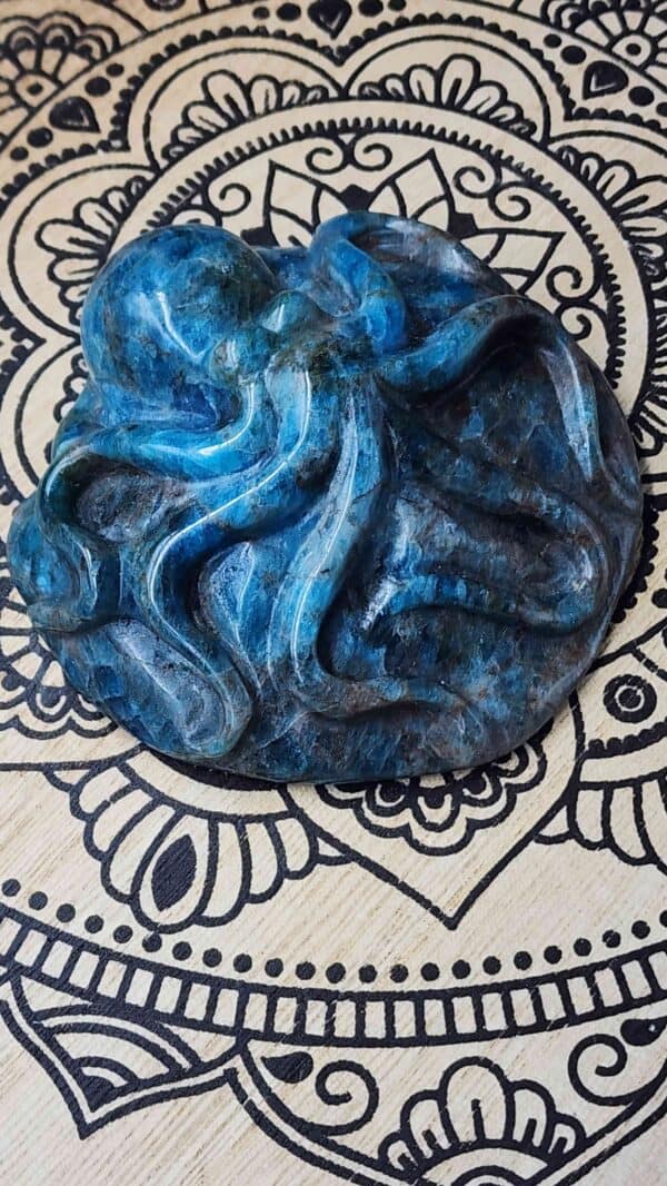 Apatite Crystal Octopus - Image 3