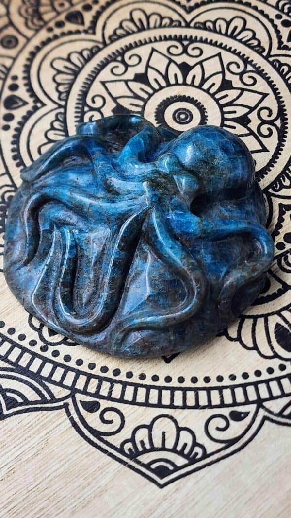 Apatite Crystal Octopus - Image 2